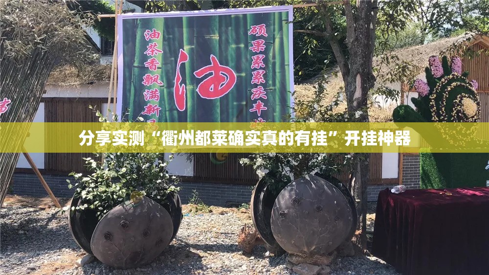 重磅.来袭福建天天开心十三水挂软件原来可以开挂 重磅.来袭福建天天开心十三水挂软件原来可以开挂