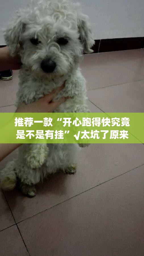 分享实测“闲娱江西棋牌有挂吗”@太坑了真的有挂