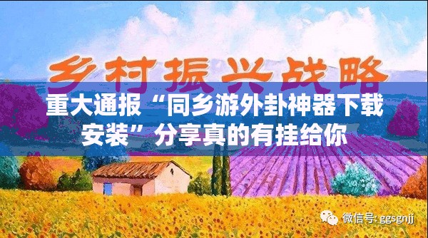 重磅.来袭娱网皮球到底有没有挂装!其实是有挂√其实是有挂