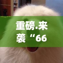 重磅.来袭“66徐州麻将真的其实有挂”(原来确实是有挂)