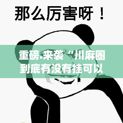 重磅.来袭“川麻圈到底有没有挂可以装”√必胜开挂神器