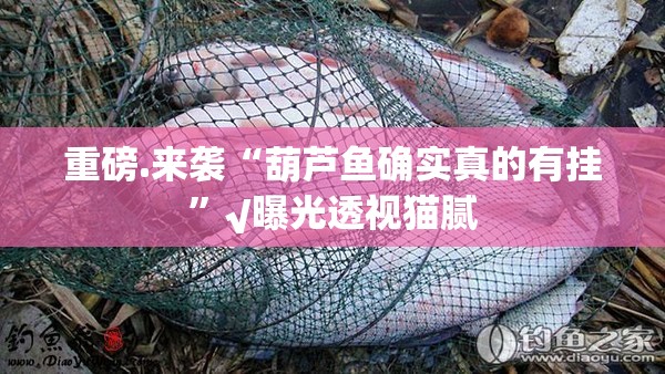 【疫情郑州商场 济南有开门吗/疫情郑州商场 济南有开门吗今天】 【疫情郑州商场 济南有开门吗/疫情郑州商场 济南有开门吗今天】