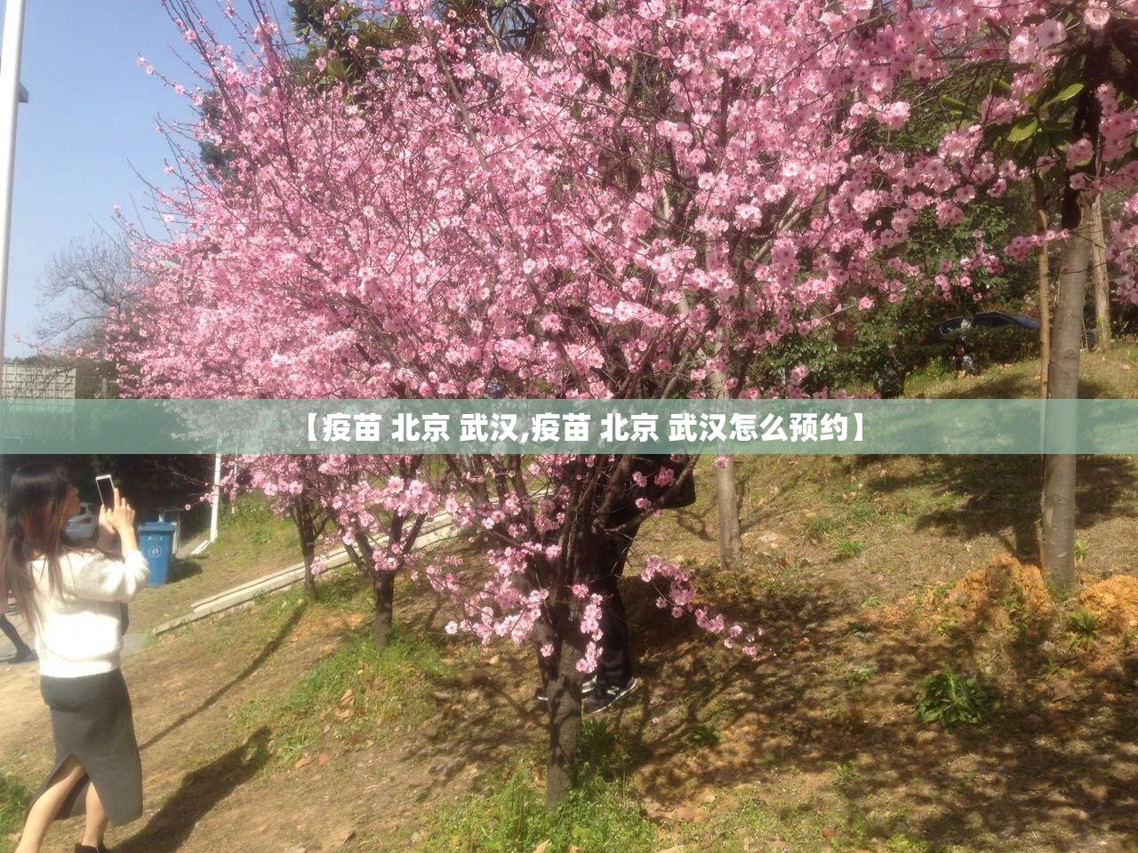 重磅.来袭川渝互娱挂怎么买!(其实真的能开挂)
