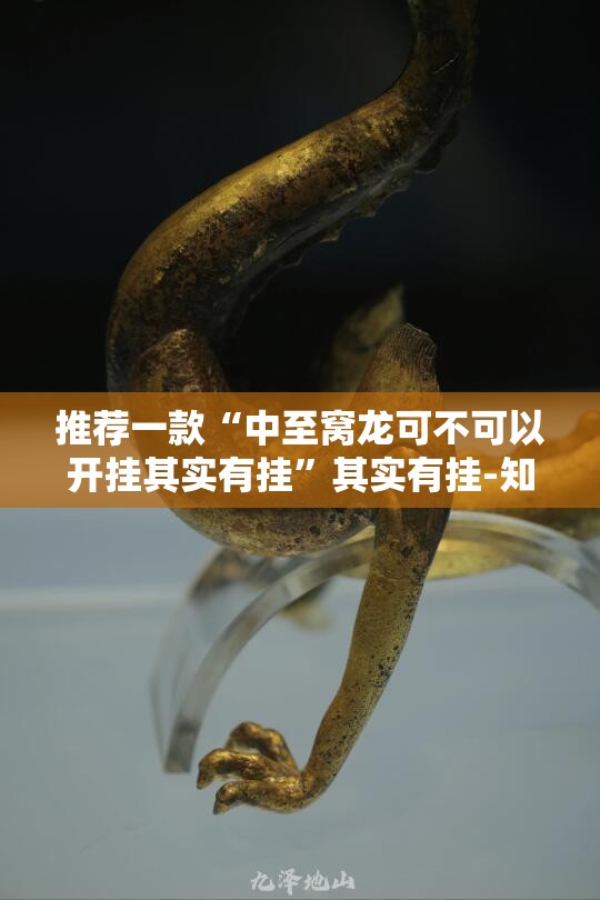 推荐一款“中至窝龙可不可以开挂其实有挂”其实有挂-知乎