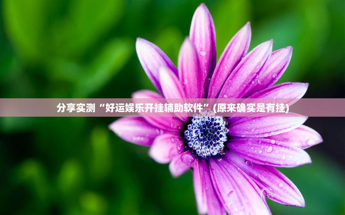 重磅.来袭决胜弈福有没有挂真的确实有挂