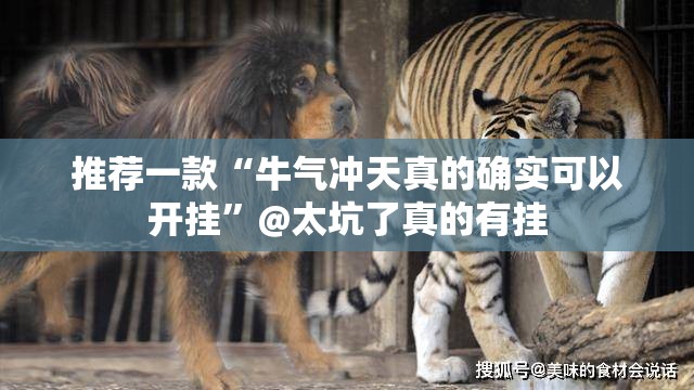 重大通报阿拉游戏中心的确有挂确实真的有挂其实确实有挂 重大通报阿拉游戏中心的确有挂确实真的有挂其实确实有挂