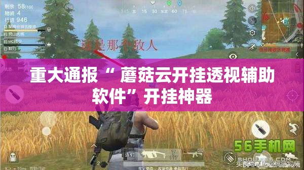 分享实测新八戒外卦神器是真的吗”√曝光透视猫腻