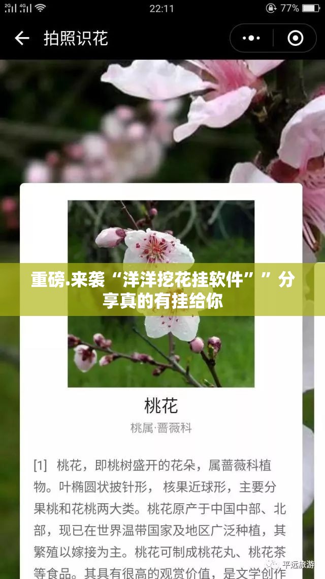 分享实测飞驰娱乐到底有挂吗!分享真的有挂给你 分享实测飞驰娱乐到底有挂吗!分享真的有挂给你