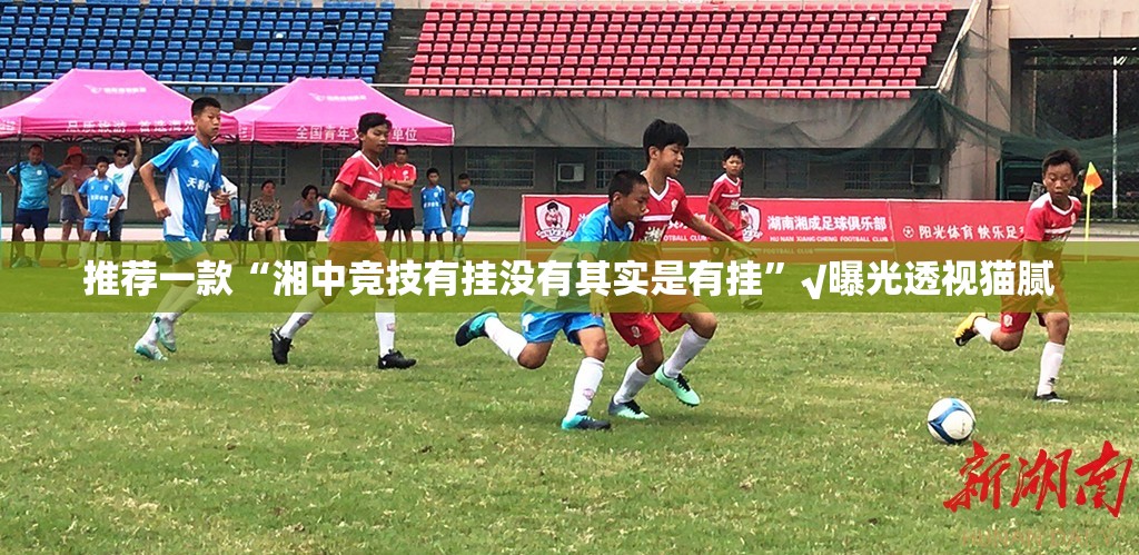 推荐一款“湘中竞技有挂没有其实是有挂”√曝光透视猫腻