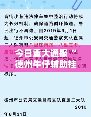 分享实测晟和互动安装挂2025（果然有挂）