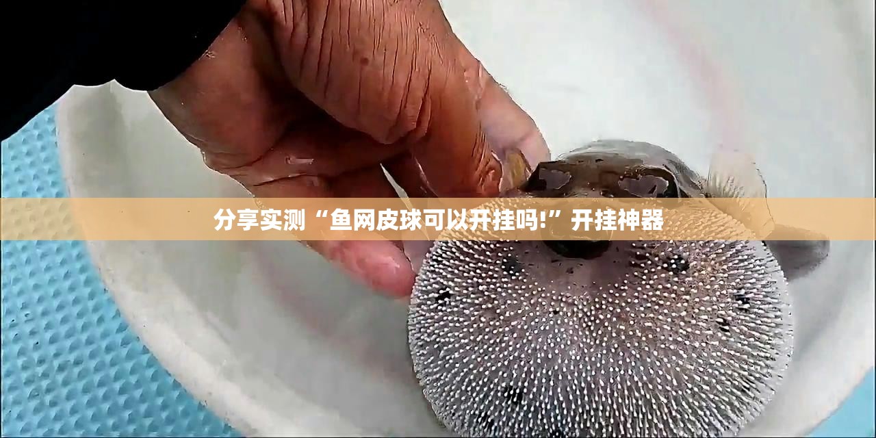 推荐一款 蜜蜂历险原来确实有挂√确实真的有挂 推荐一款 蜜蜂历险原来确实有挂√确实真的有挂