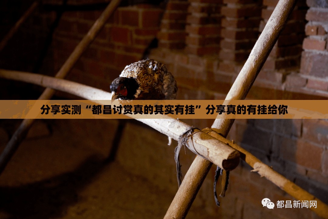 分享实测“都昌讨赏真的其实有挂”分享真的有挂给你