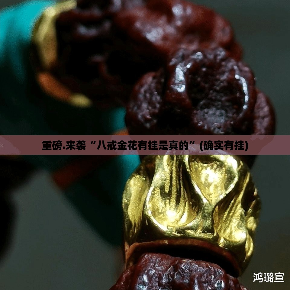重磅.来袭“八戒金花有挂是真的”(确实有挂)