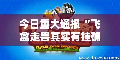 今日重大通报“飞禽走兽其实有挂确实真的有挂”其实有挂-知乎