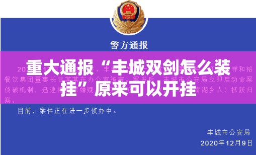 重大通报“丰城双剑怎么装挂”原来可以开挂