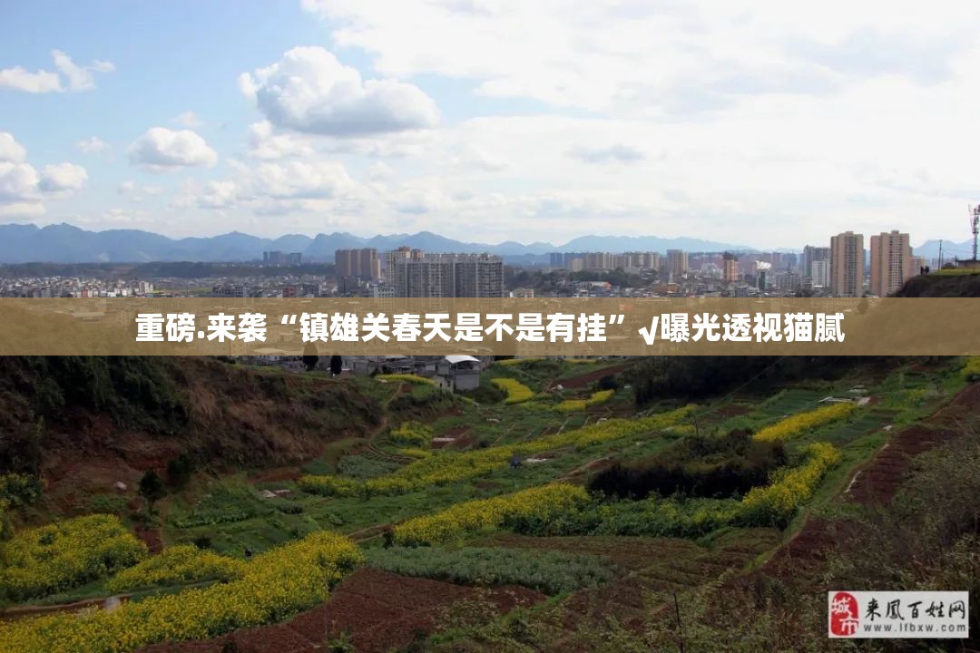 重磅.来袭“镇雄关春天是不是有挂”√曝光透视猫腻