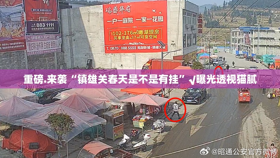 重磅.来袭“镇雄关春天是不是有挂”√曝光透视猫腻