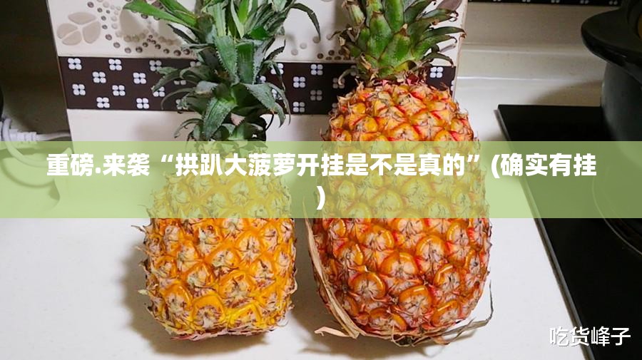 重磅.来袭“拱趴大菠萝开挂是不是真的”(确实有挂)