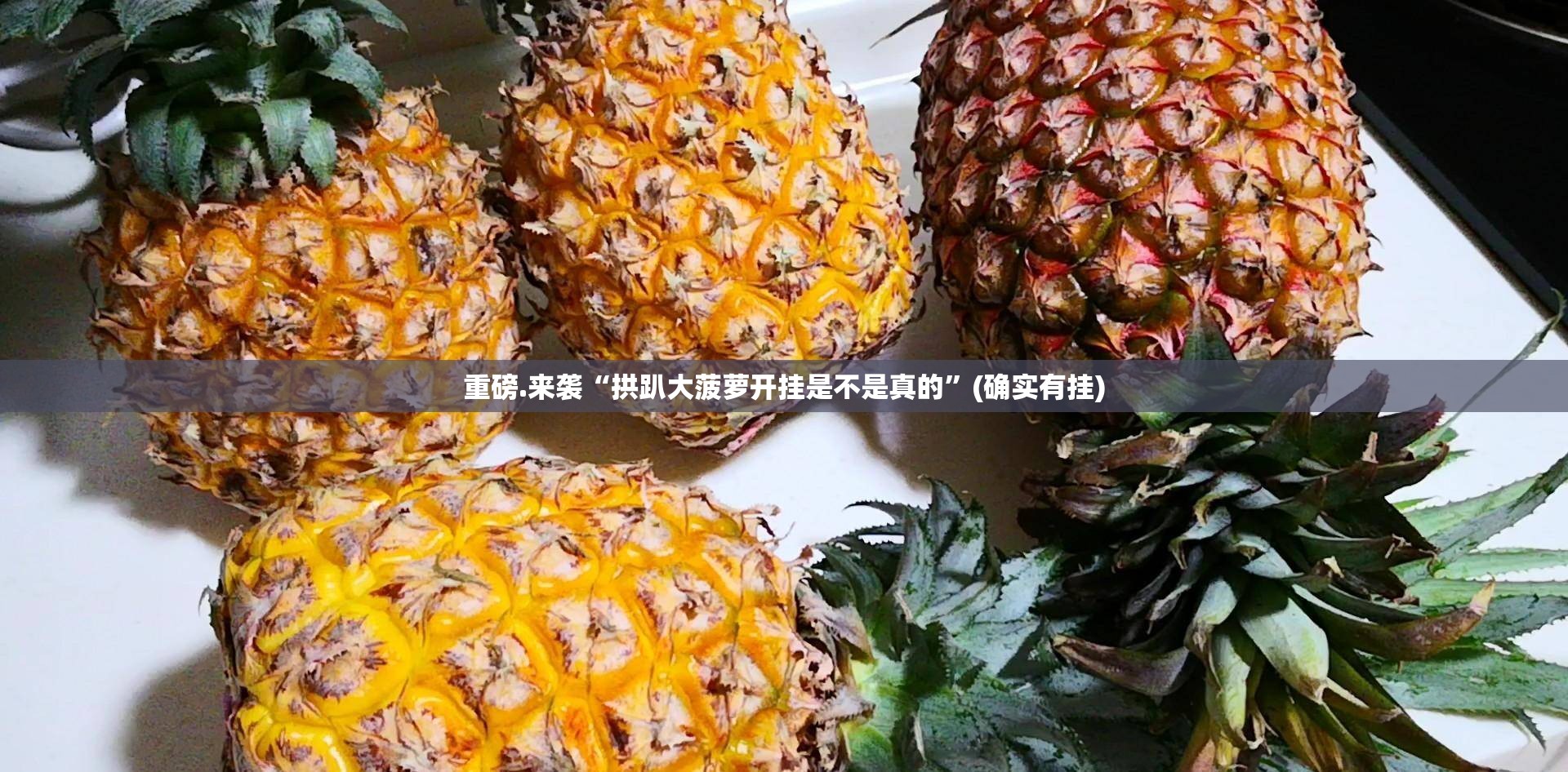 重磅.来袭“拱趴大菠萝开挂是不是真的”(确实有挂)
