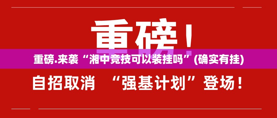 重磅.来袭“湘中竞技可以装挂吗”(确实有挂)
