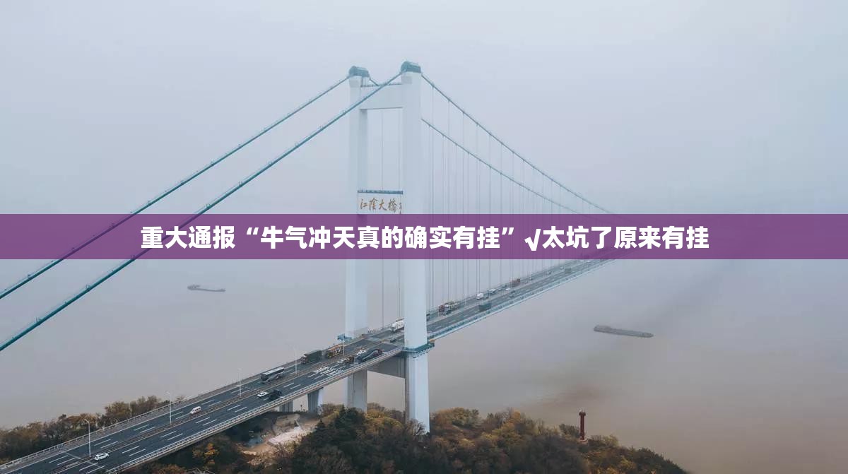 重大通报“牛气冲天真的确实有挂”√太坑了原来有挂