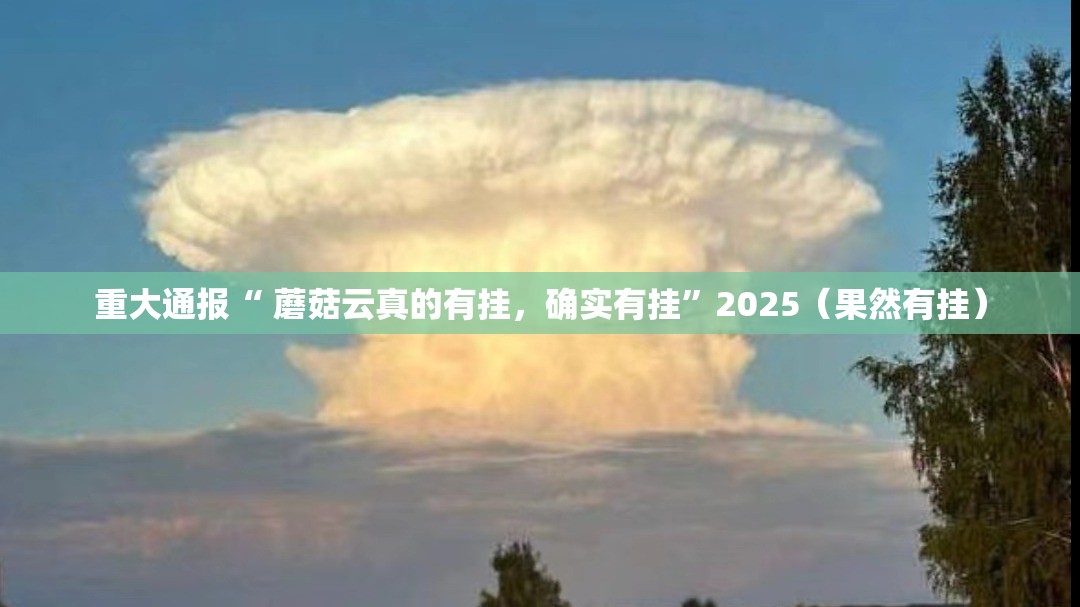 推荐一款飞驰娱乐原来确实真的有挂√其实是有挂 推荐一款飞驰娱乐原来确实真的有挂√其实是有挂