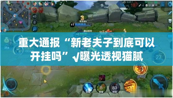 推荐一款蜂娱棋牌2其实确实真的有挂(真的有挂)-知乎