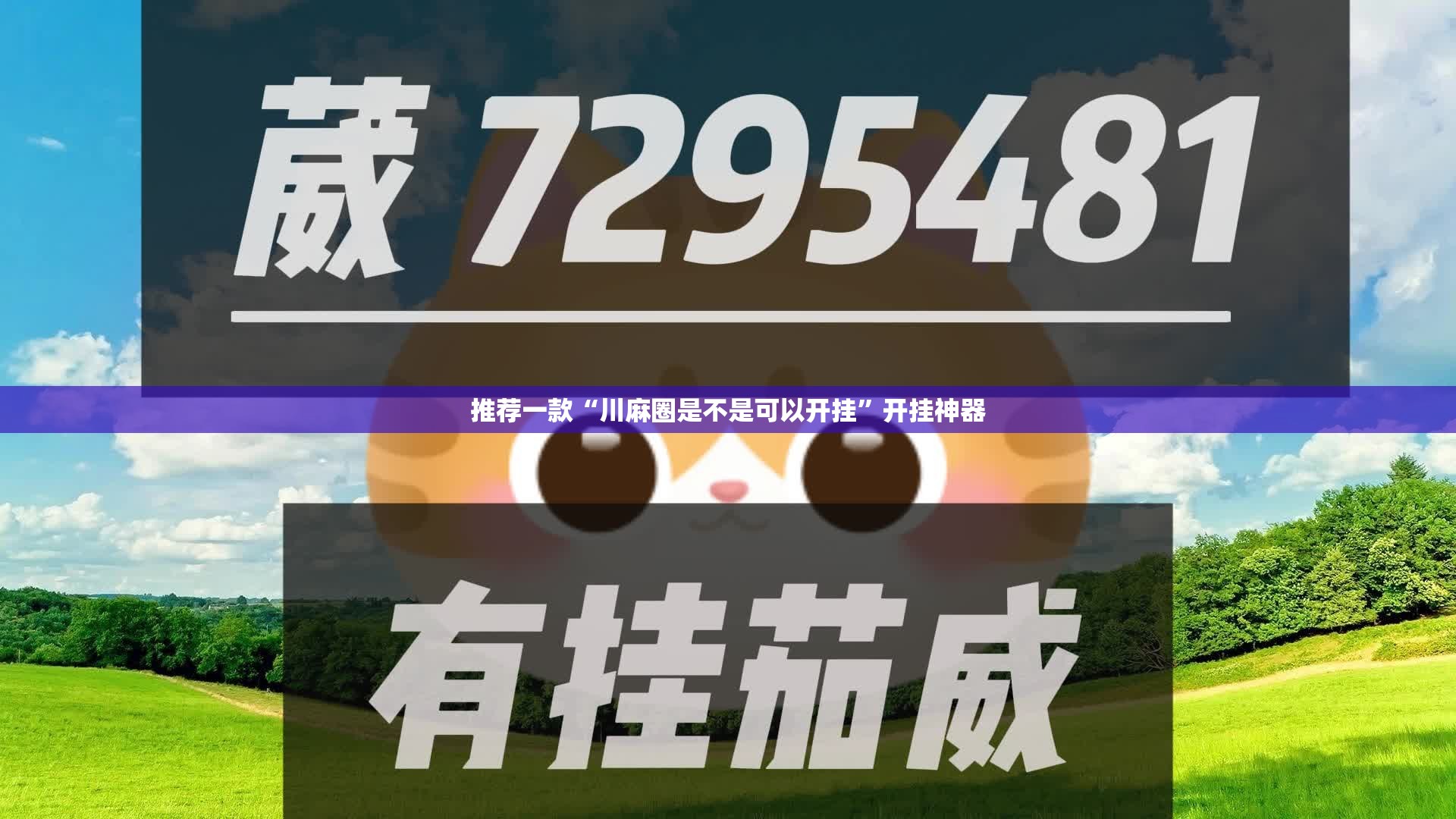 推荐一款“川麻圈是不是可以开挂”开挂神器