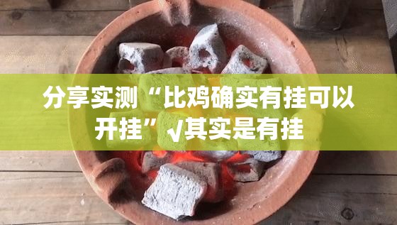 分享实测“比鸡确实有挂可以开挂”√其实是有挂