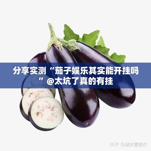 分享实测“茄子娱乐其实能开挂吗”@太坑了真的有挂