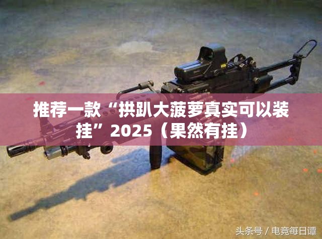 推荐一款“拱趴大菠萝真实可以装挂”2025（果然有挂）