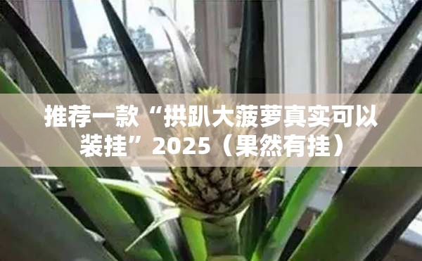 推荐一款“拱趴大菠萝真实可以装挂”2025（果然有挂）