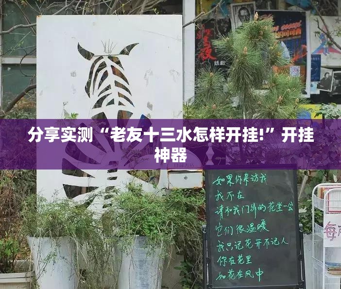分享实测“老友十三水怎样开挂!”开挂神器