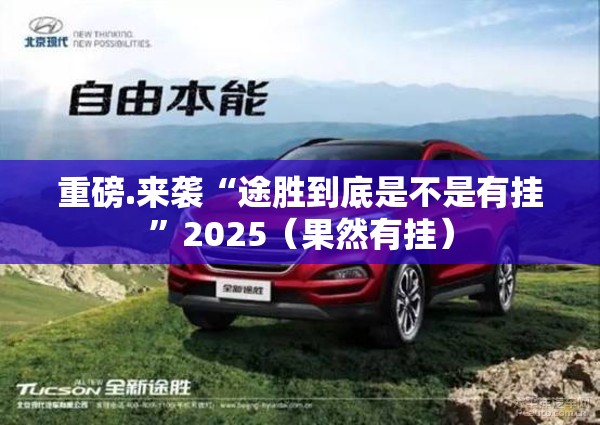 重磅.来袭“途胜到底是不是有挂”2025（果然有挂）
