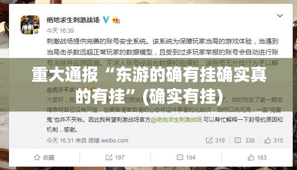 重大通报“东游的确有挂确实真的有挂”(确实有挂)
