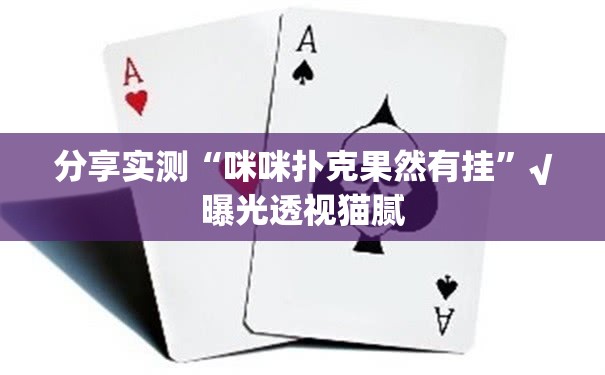 分享实测“咪咪扑克果然有挂”√曝光透视猫腻