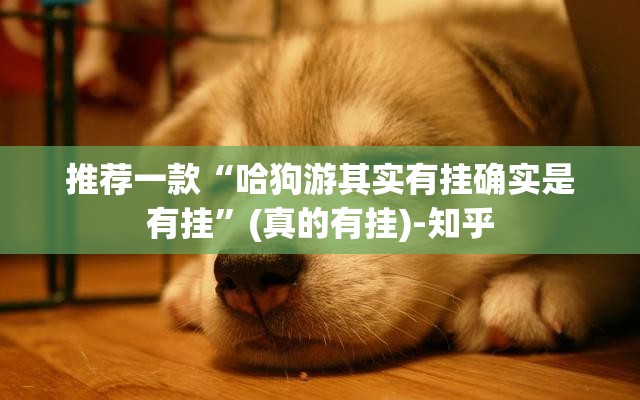 推荐一款“哈狗游其实有挂确实是有挂”(真的有挂)-知乎