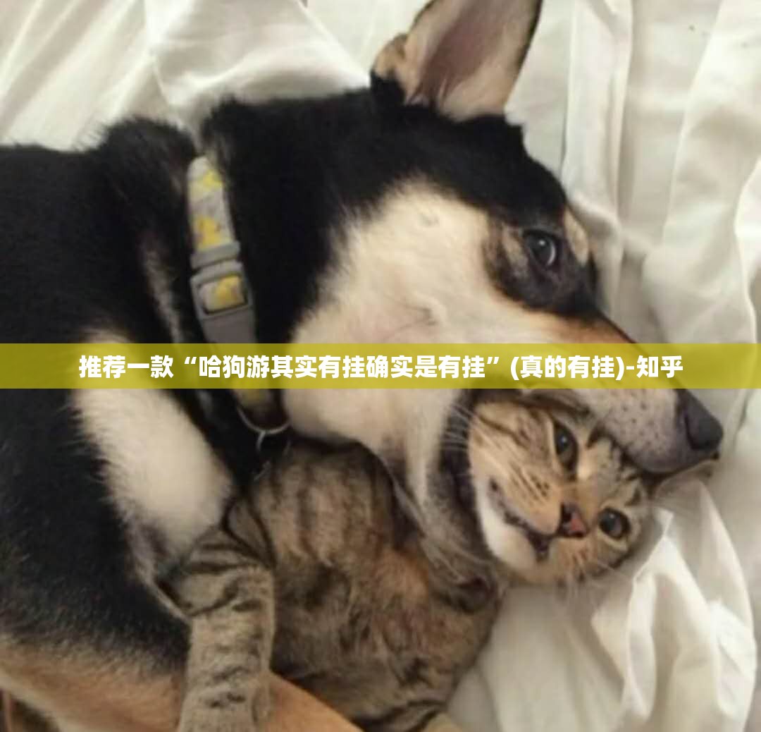 推荐一款“哈狗游其实有挂确实是有挂”(真的有挂)-知乎