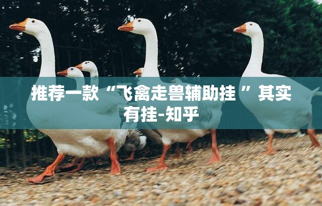 推荐一款“飞禽走兽辅助挂 ”其实有挂-知乎