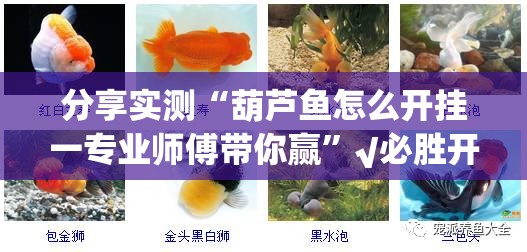 分享实测“葫芦鱼怎么开挂一专业师傅带你赢”√必胜开挂神器