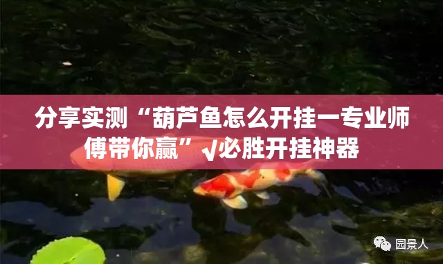分享实测“葫芦鱼怎么开挂一专业师傅带你赢”√必胜开挂神器
