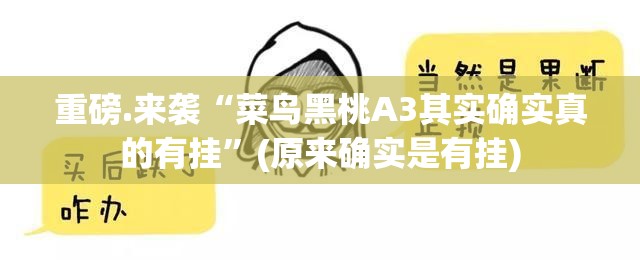 重磅.来袭“菜鸟黑桃A3其实确实真的有挂”(原来确实是有挂)