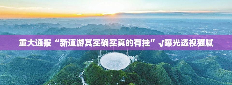 重大通报“新道游其实确实真的有挂”√曝光透视猫腻