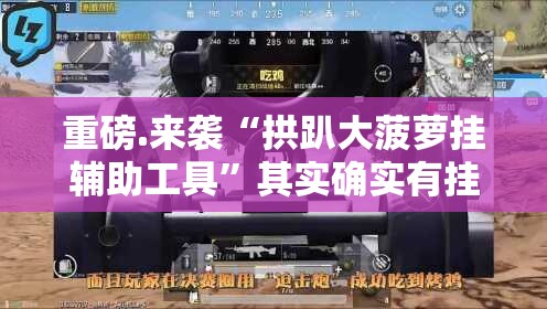 重磅.来袭“拱趴大菠萝挂辅助工具”其实确实有挂