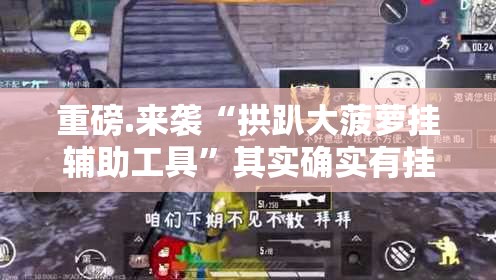 重磅.来袭“拱趴大菠萝挂辅助工具”其实确实有挂