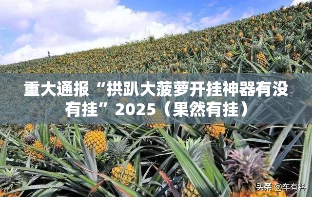 重大通报“拱趴大菠萝开挂神器有没有挂”2025（果然有挂）