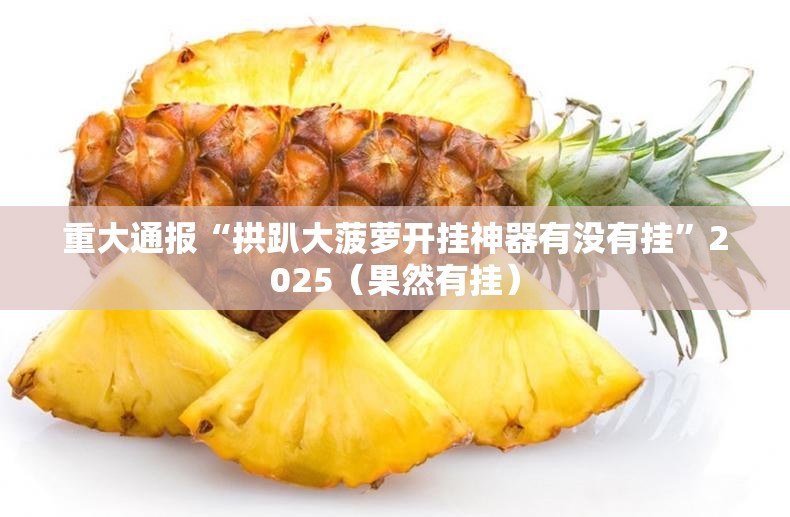 重大通报“拱趴大菠萝开挂神器有没有挂”2025（果然有挂）
