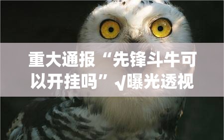重大通报“先锋斗牛可以开挂吗”√曝光透视猫腻