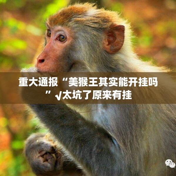 重大通报“美猴王其实能开挂吗”√太坑了原来有挂