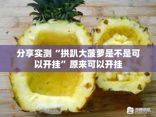 分享实测“拱趴大菠萝是不是可以开挂”原来可以开挂